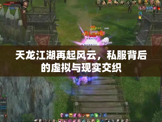 天龙江湖再起风云，私服背后的虚拟与现实交织