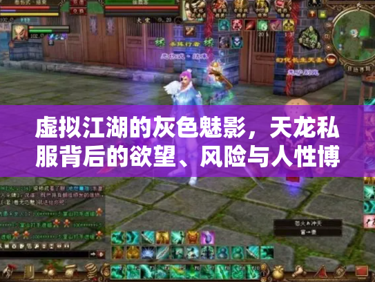 虚拟江湖的灰色魅影，天龙私服背后的欲望、风险与人性博弈