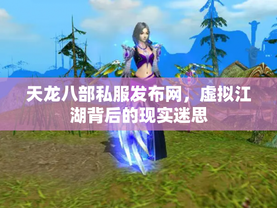 天龙八部私服发布网，虚拟江湖背后的现实迷思