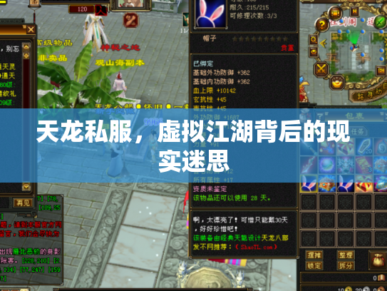 天龙私服，虚拟江湖背后的现实迷思