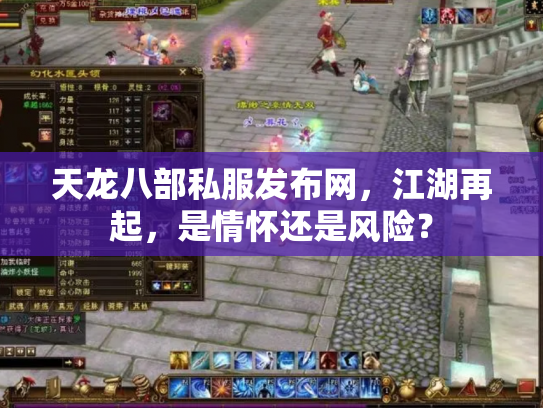 天龙八部私服发布网，江湖再起，是情怀还是风险？