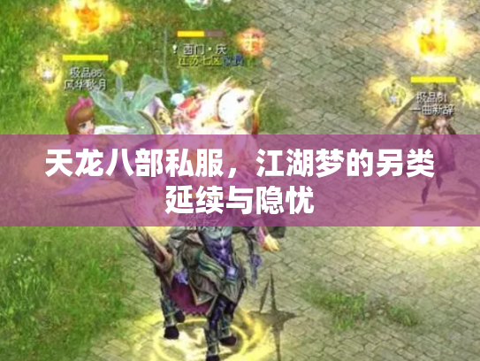 天龙八部私服，江湖梦的另类延续与隐忧