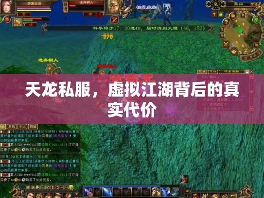天龙私服，虚拟江湖背后的真实代价