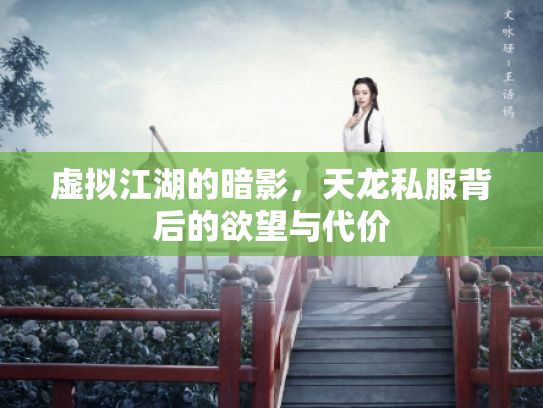 虚拟江湖的暗影，天龙私服背后的欲望与代价