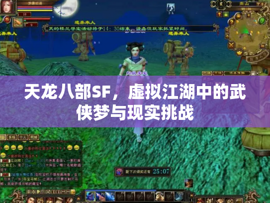 天龙八部SF，虚拟江湖中的武侠梦与现实挑战