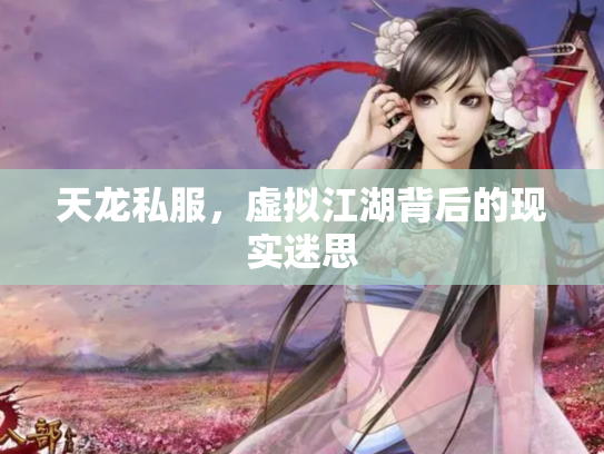 天龙私服，虚拟江湖背后的现实迷思
