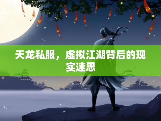天龙私服，虚拟江湖背后的现实迷思