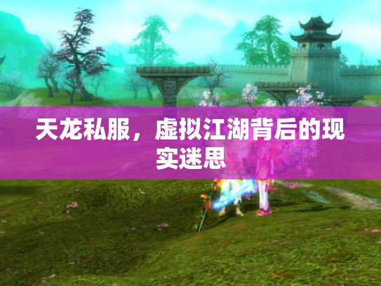 天龙私服，虚拟江湖背后的现实迷思