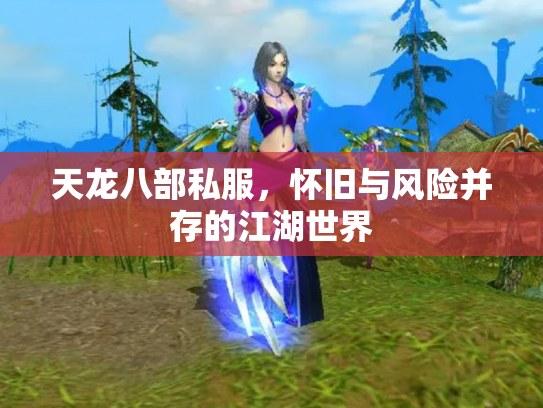 天龙八部私服，怀旧与风险并存的江湖世界