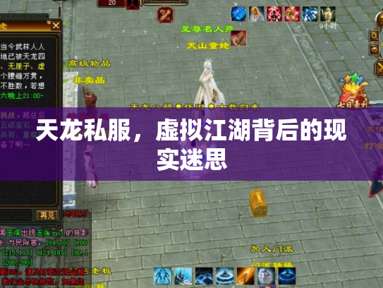 天龙私服，虚拟江湖背后的现实迷思