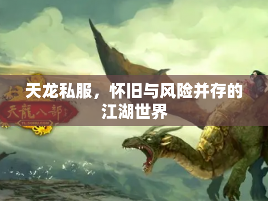 天龙私服，怀旧与风险并存的江湖世界