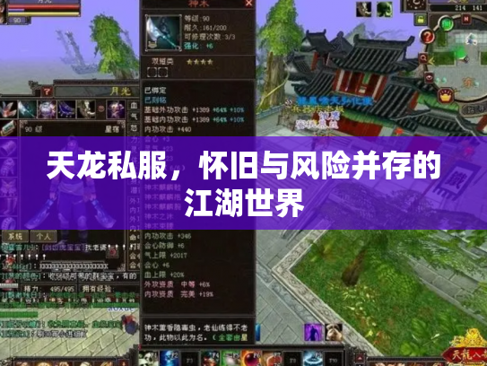 天龙私服，怀旧与风险并存的江湖世界