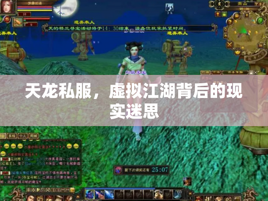 天龙私服，虚拟江湖背后的现实迷思