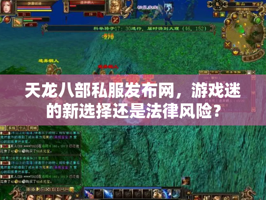 天龙八部私服发布网，游戏迷的新选择还是法律风险？