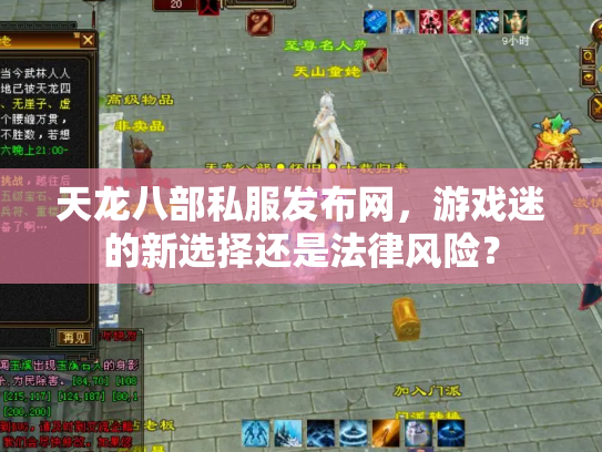 天龙八部私服发布网，游戏迷的新选择还是法律风险？