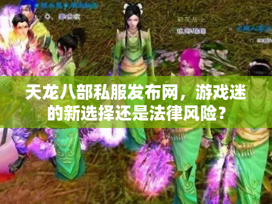 天龙八部私服发布网，游戏迷的新选择还是法律风险？