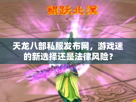 天龙八部私服发布网，游戏迷的新选择还是法律风险？