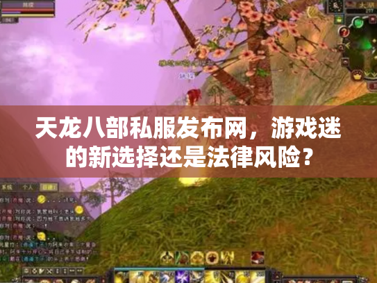天龙八部私服发布网，游戏迷的新选择还是法律风险？