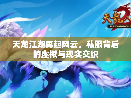 天龙江湖再起风云，私服背后的虚拟与现实交织