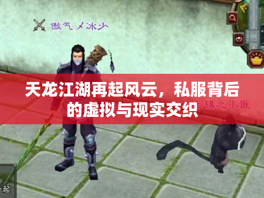 天龙江湖再起风云，私服背后的虚拟与现实交织