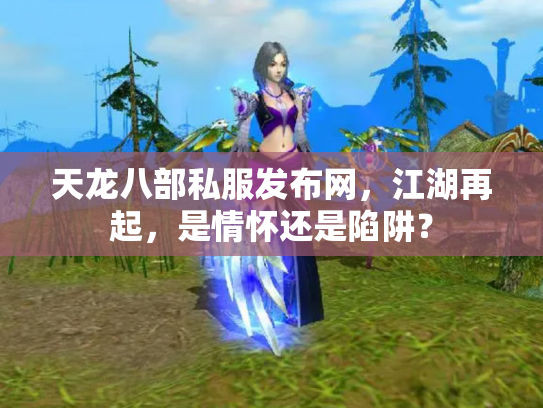 天龙八部私服发布网，江湖再起，是情怀还是陷阱？
