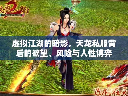 虚拟江湖的暗影，天龙私服背后的欲望、风险与人性博弈