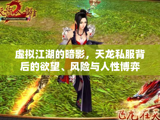 虚拟江湖的暗影，天龙私服背后的欲望、风险与人性博弈