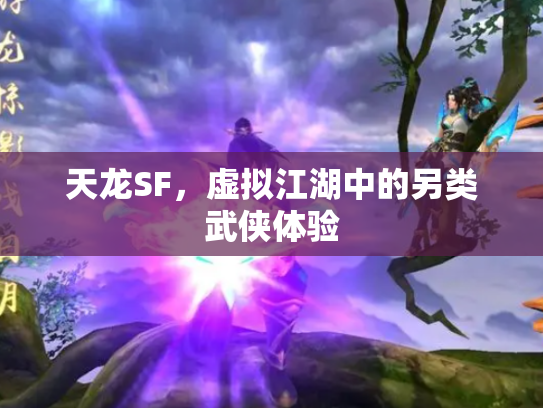天龙SF，虚拟江湖中的另类武侠体验