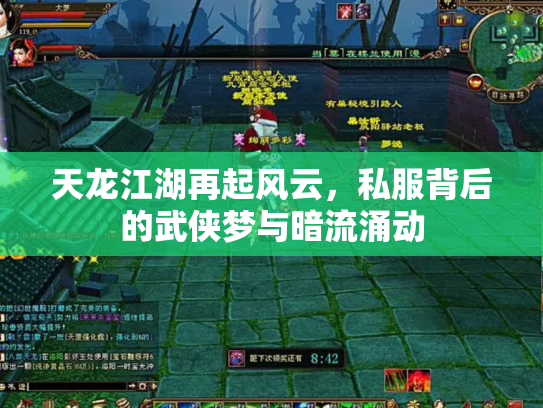 天龙江湖再起风云，私服背后的武侠梦与暗流涌动