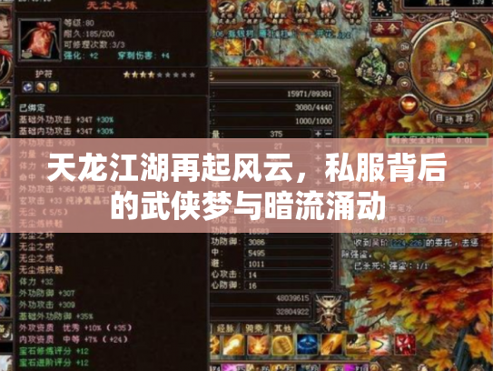 天龙江湖再起风云，私服背后的武侠梦与暗流涌动