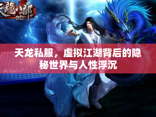 天龙私服，虚拟江湖背后的隐秘世界与人性浮沉