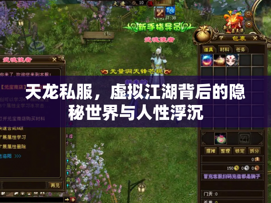 天龙私服，虚拟江湖背后的隐秘世界与人性浮沉