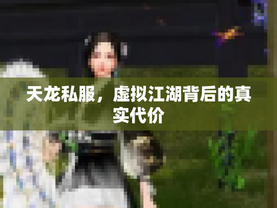 天龙私服，虚拟江湖背后的真实代价