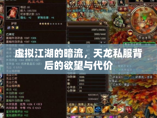 虚拟江湖的暗流，天龙私服背后的欲望与代价