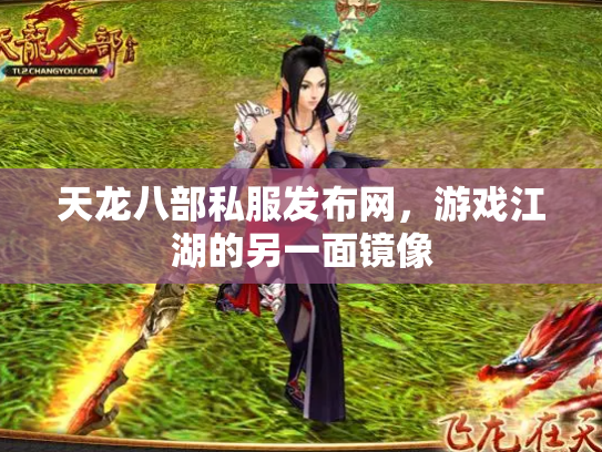 天龙八部私服发布网，游戏江湖的另一面镜像