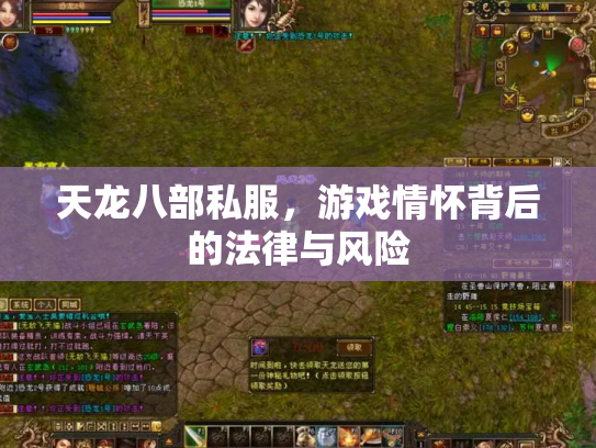 天龙八部私服，游戏情怀背后的法律与风险