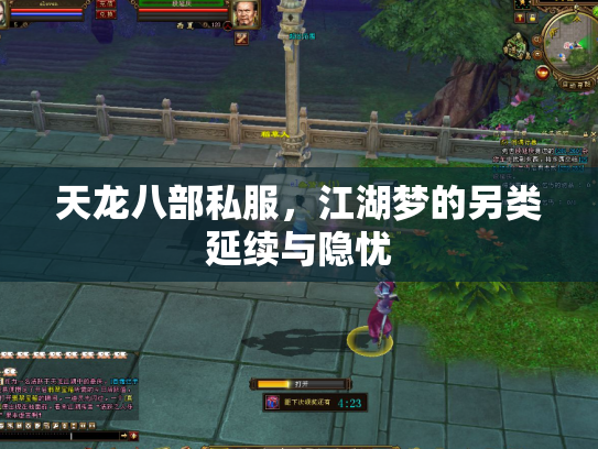 天龙八部私服，江湖梦的另类延续与隐忧