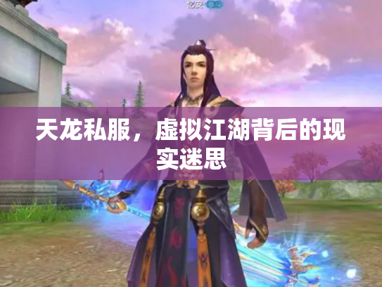 天龙私服，虚拟江湖背后的现实迷思