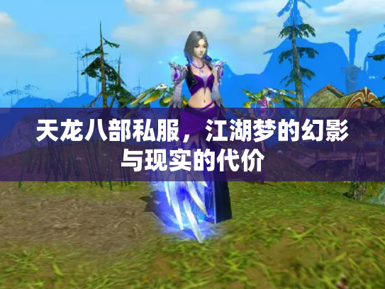 天龙八部私服，江湖梦的幻影与现实的代价