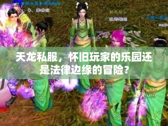 天龙私服，怀旧玩家的乐园还是法律边缘的冒险？