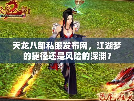 天龙八部私服发布网，江湖梦的捷径还是风险的深渊？