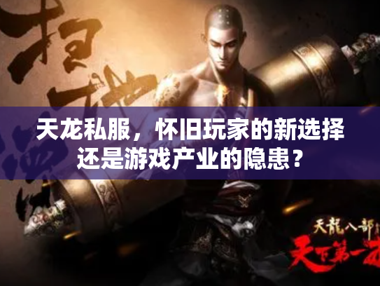 天龙私服，怀旧玩家的新选择还是游戏产业的隐患？