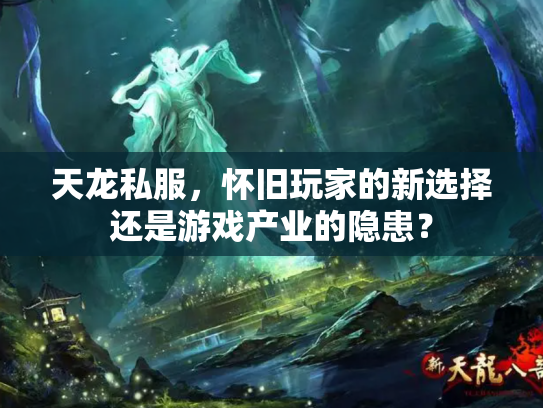 天龙私服，怀旧玩家的新选择还是游戏产业的隐患？