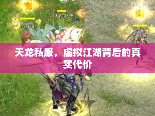 天龙私服，虚拟江湖背后的真实代价
