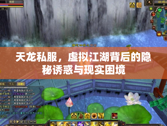 天龙私服，虚拟江湖背后的隐秘诱惑与现实困境
