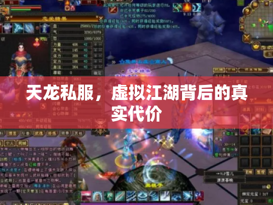 天龙私服，虚拟江湖背后的真实代价