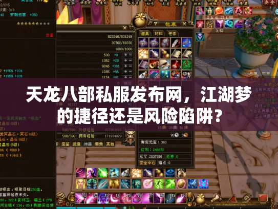 天龙八部私服发布网，江湖梦的捷径还是风险陷阱？