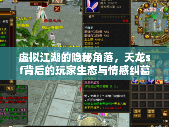 虚拟江湖的隐秘角落，天龙sf背后的玩家生态与情感纠葛