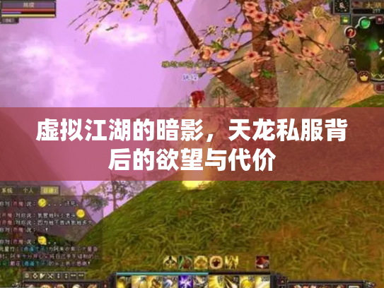 虚拟江湖的暗影，天龙私服背后的欲望与代价