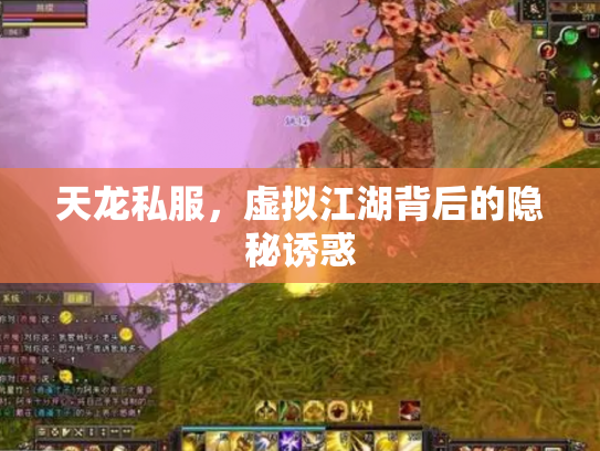 天龙私服，虚拟江湖背后的隐秘诱惑